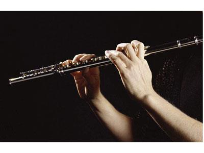 招聘秦皇岛长笛家教老师